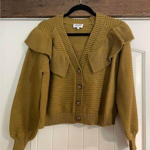 Crosby cropped button down sweater (size s)